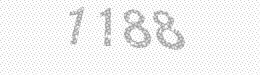 Visual security code — type the characters shown in the image