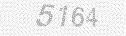 Visual security code — type the characters shown in the image